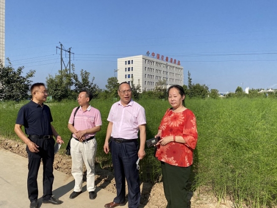 芦笋之都导入功能农业-农业大健康·李喜贵:芦笋谋定金衣