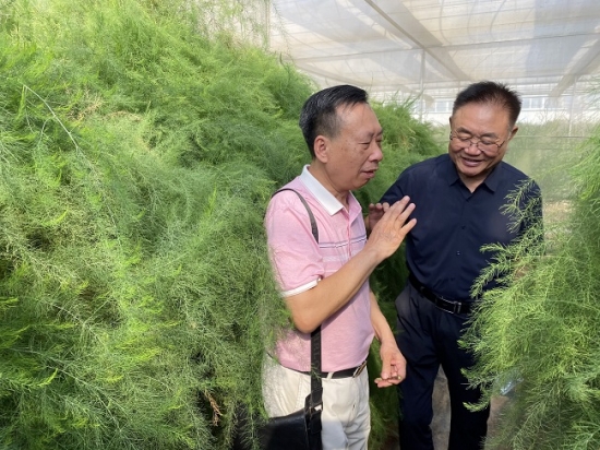 云图片