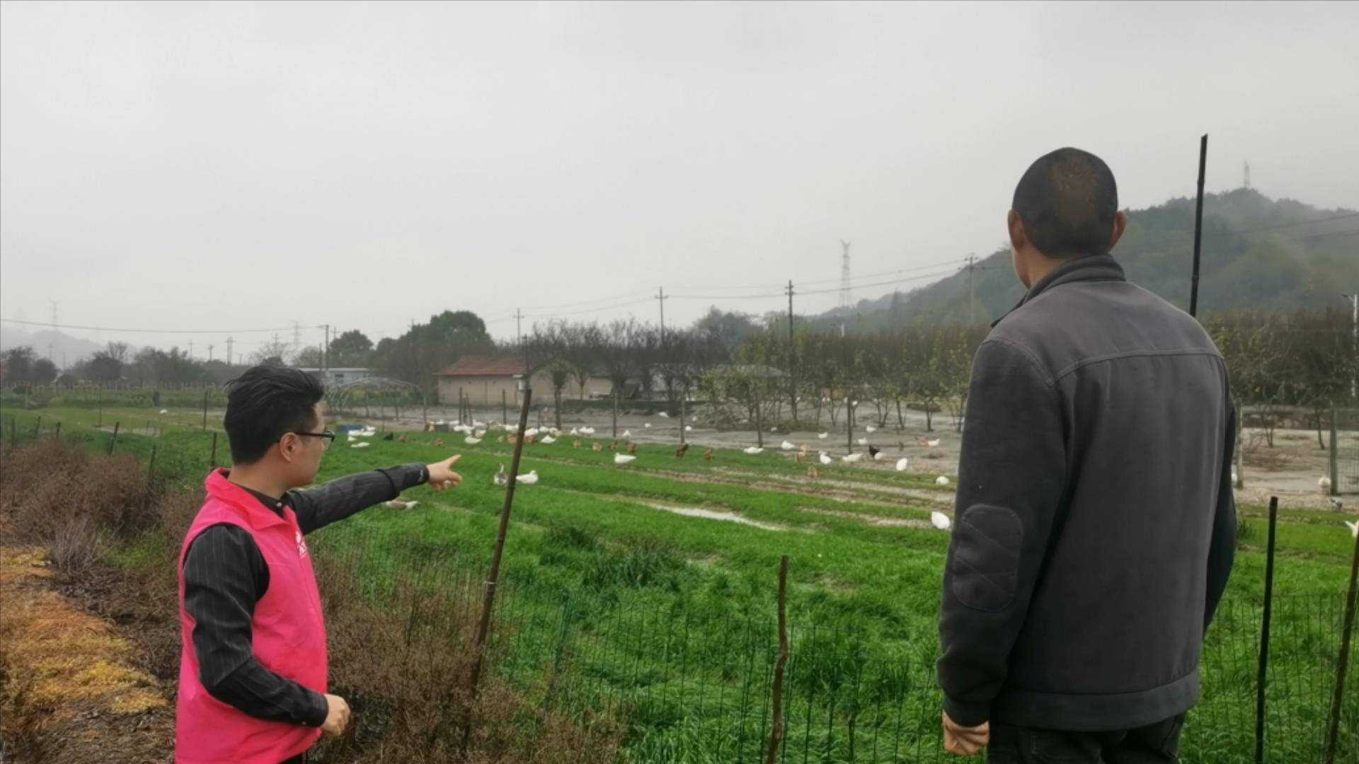 赞麦源选杭州实地溯源 探访皮薄如纸的阳光鸡