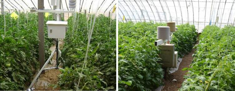 农业大棚必备—海睿科技首创能说、能看、即插即用的监管神器