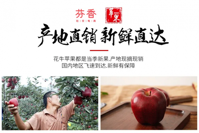 积极探索助农就业新模式，芬香为乡村振兴蓄势赋能